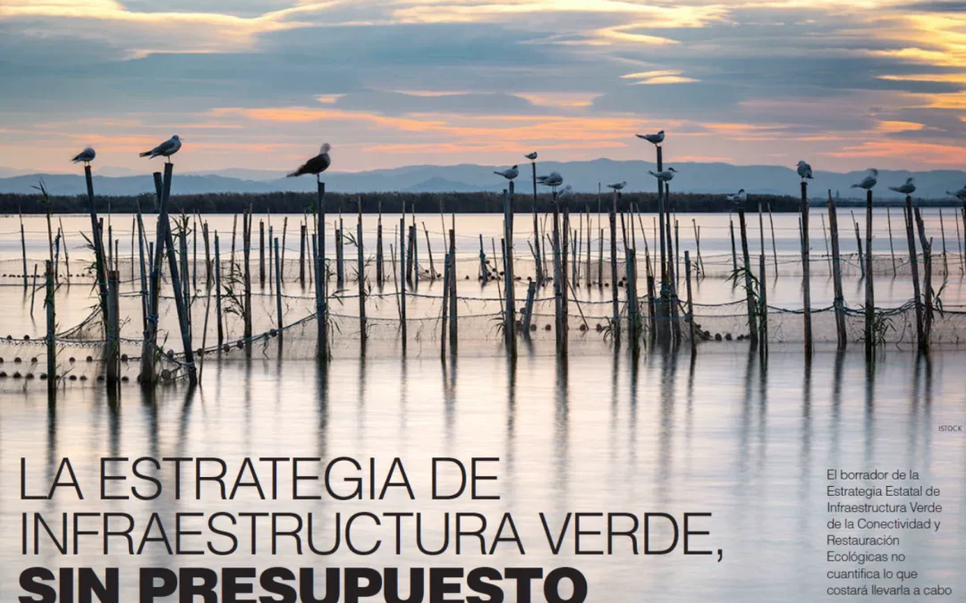La Estrategia de Infraestructura Verde, Sin Presupuesto. Revista de Agua y Medio Ambiente en el periódico EL Economista.