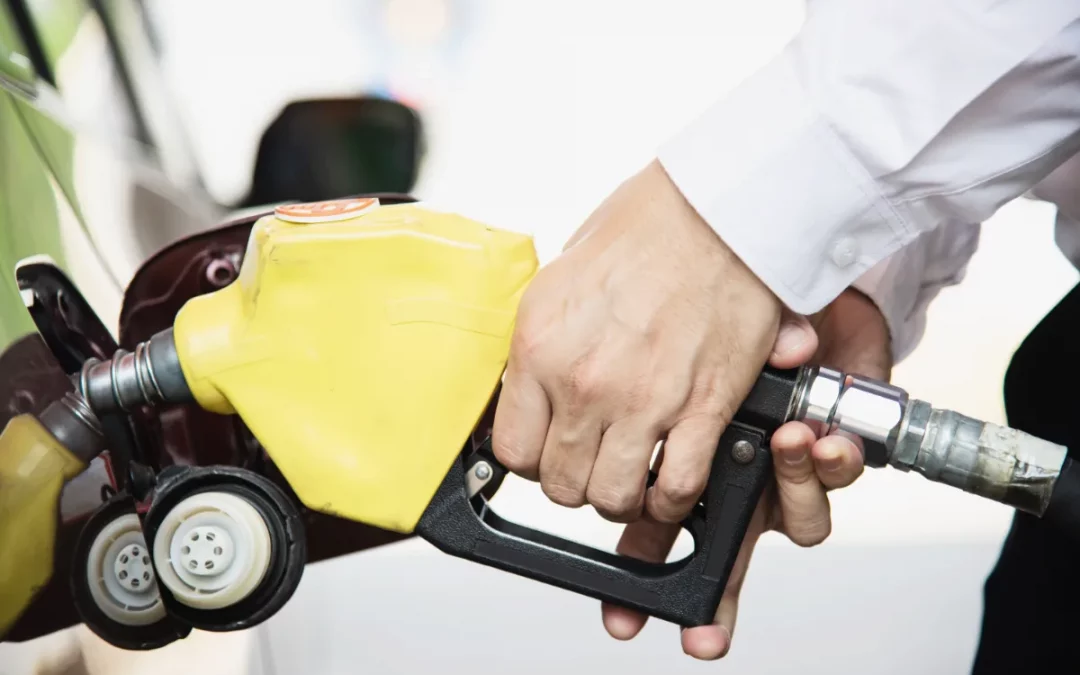 Biocarburantes y reforzamiento de los derechos del consumidor de gas